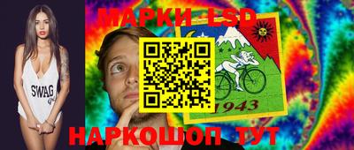 стаф Дубна