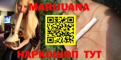 стаф Дубна