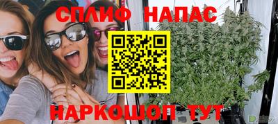 стаф Дубна