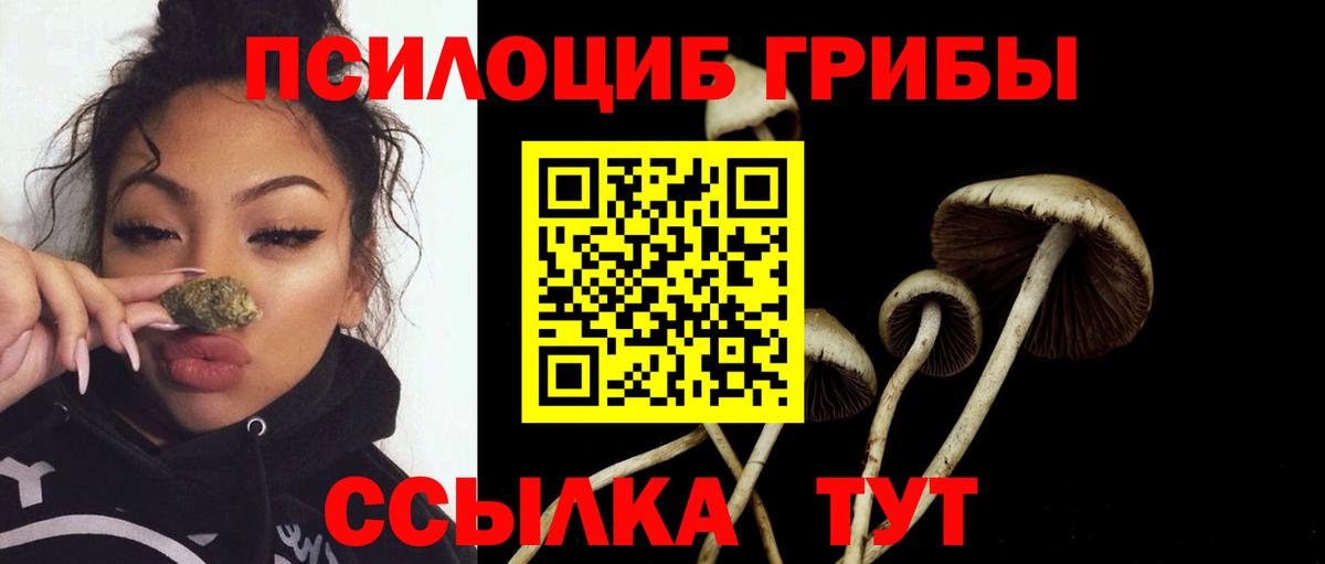 Галлюциногенные грибы прущие грибы Миасс